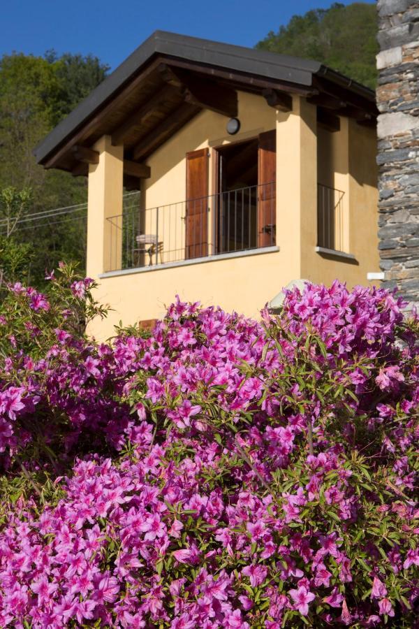 Violina Casa Vacanze بيتيناسكو المظهر الخارجي الصورة